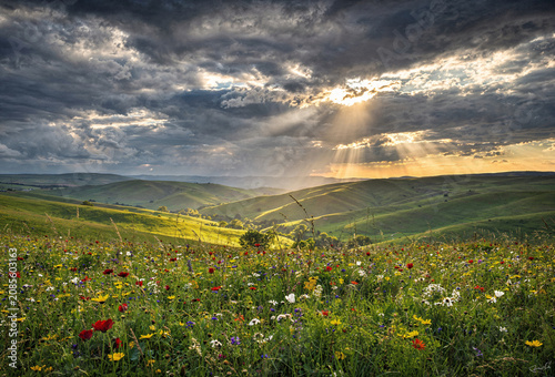 Sun Rays Breaking Through Dramatic Storm Clouds Over Rolling Green Hills and Wildflower Meadow