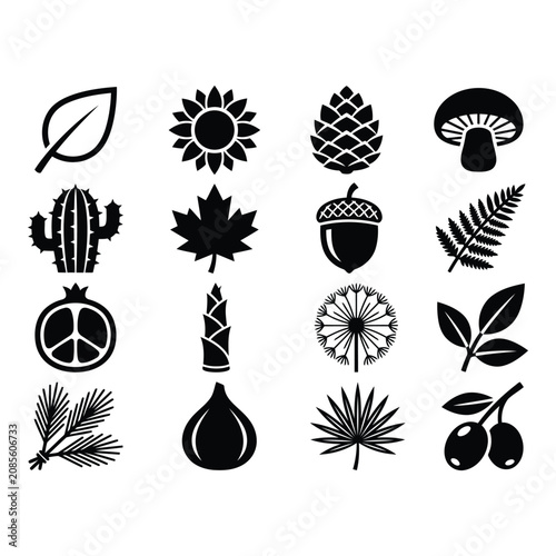 Set of 16 Black Botanical Silhouette Icons with Leaves, Flowers, and Plants isolated on white background