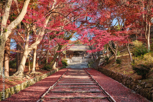 Autumn leaves in Bishamondo temple (Bishamon-do), Kyoto, Japan.