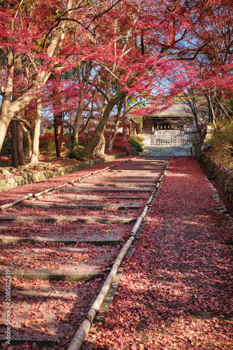 Autumn leaves in Bishamondo temple (Bishamon-do), Kyoto, Japan.