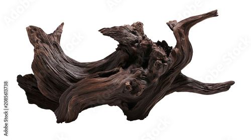 Schilderij op canvas Gnarly dark brown weathered driftwood sculpture with intricate texture