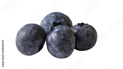 Obraz na plátně Four ripe blueberries with dusty bloom and visible calyx