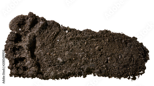 Schilderij op canvas Footprint impression in dark soil clump