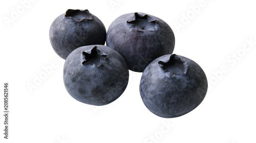 Obraz na plátně Four ripe blueberries with star-shaped calyx