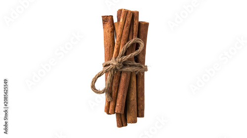 Fotografie Bundle of cinnamon sticks tied with twine