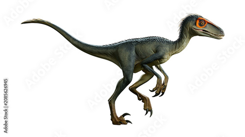 Fotografía Velociraptor dinosaur with sharp claws and orange eyes