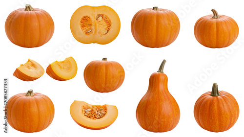 Tableau sur toile Collection of orange pumpkins and slices, whole and cut gourds