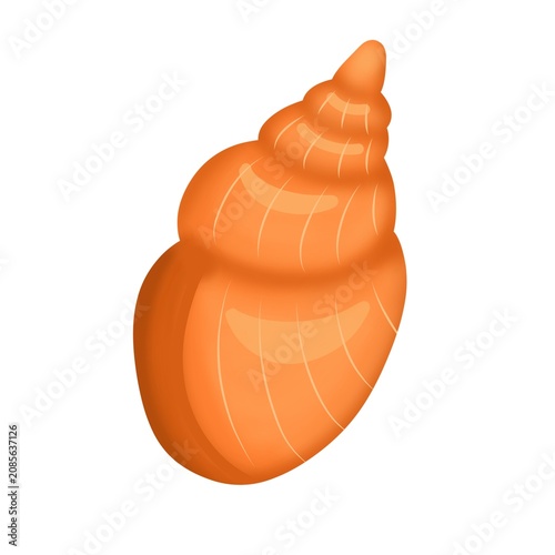 Orange Seashell Illustration. Marine Shell Isolated Object. Ocean Seashell Clipart Design