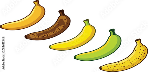 Fotografía Banana ripening stages set showing fresh fruits from green unripe to yellow ripe