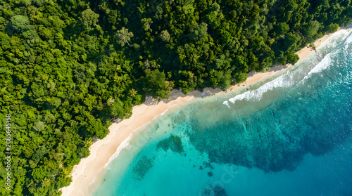 Green tropical rainforest foliage, sandy coastline, turquoise ocean waves, pristine beach in fiji. Perfect for travel websites, nature magazines, and tropical destination promos.