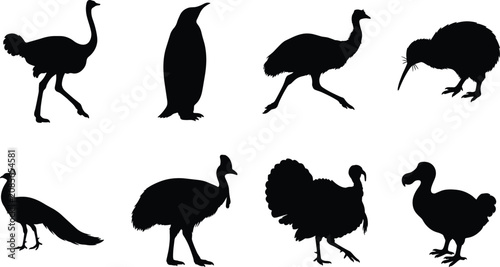 Obraz na płótnie Silhouette collection of flightless birds including ostrich, penguin, emu, kiwi,