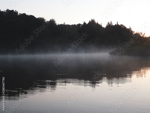 Brume sur le lac au lever du soleil le matin dans la forêt	