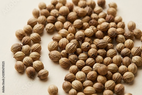Close-up of Dried Coriander Seeds Scattered on a Light Background