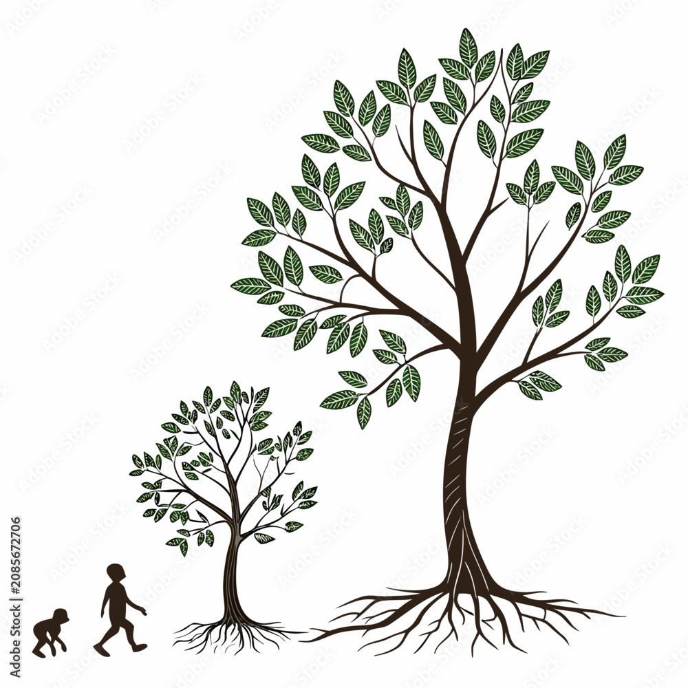 Fototapeta premium Growth stages of a tree from small sapling to large plant with primate silhouette, ink on white background