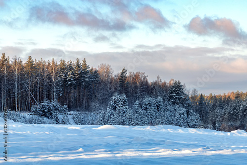 Amazing winter landscape with snow and blue sky. Sunny day