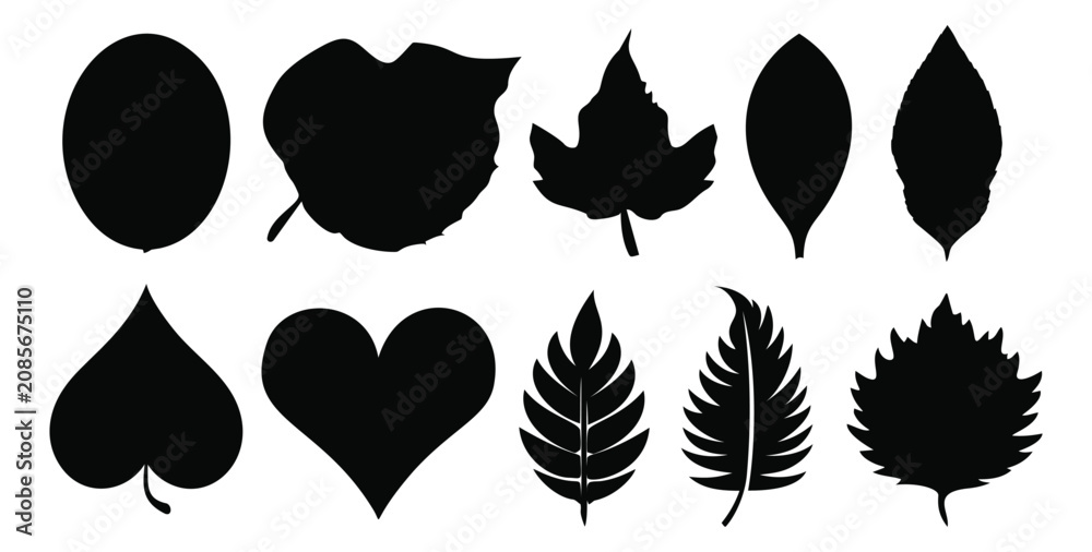Fototapeta premium Silhouette icon set of 10 leaves featuring oval, maple, tropical and serrated botanical shapes for nature design
