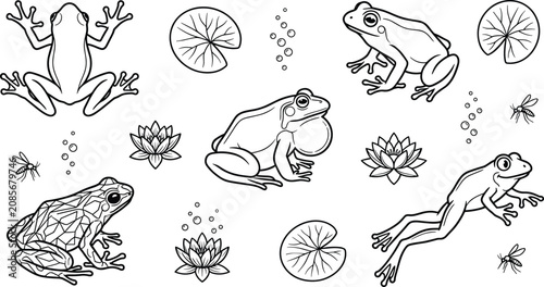 Fotografía Pond wildlife vector icon set featuring line art frogs toad water lily lotus flowers lily pads croaking bullfrog and flying insects isolated on white background