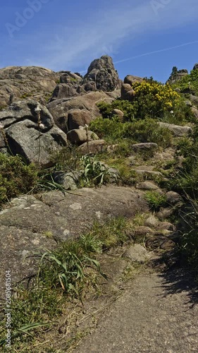 Rocky mountain landscape with wild vegetation