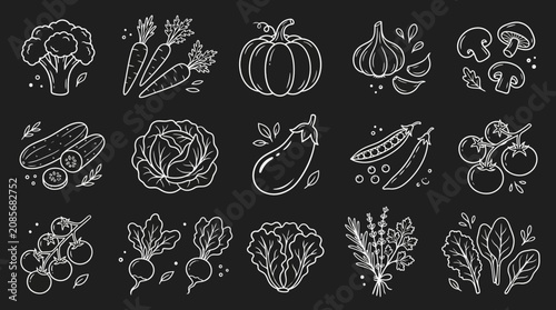 Bild auf Leinwand A collection of various vegetable line icons.