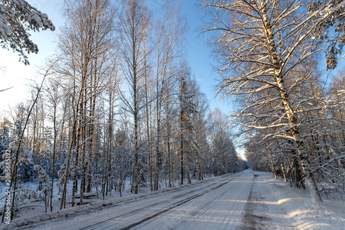 Snow road in the forest in winter day