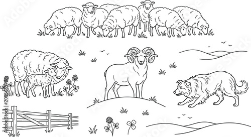 Fotografía Farming agriculture vector collection featuring grazing sheep herd border collies herding dog horned ram wooden fence and rolling countryside pasture hills landscape