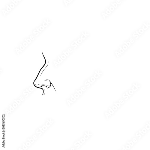 Hand drawn sketch of aquiline female nose on dummy head isolated on white background. Technical line art.