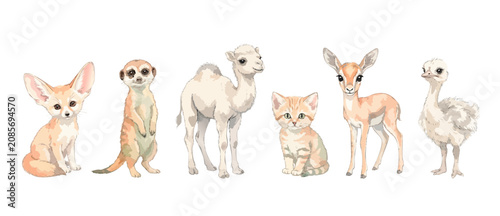 Foto Watercolor baby animals cute illustration isolated set on white background for nursery decor design featuring sweet fennec fox, meerkat, camel, kitten, gazelle, and ostrich chick safari graphics