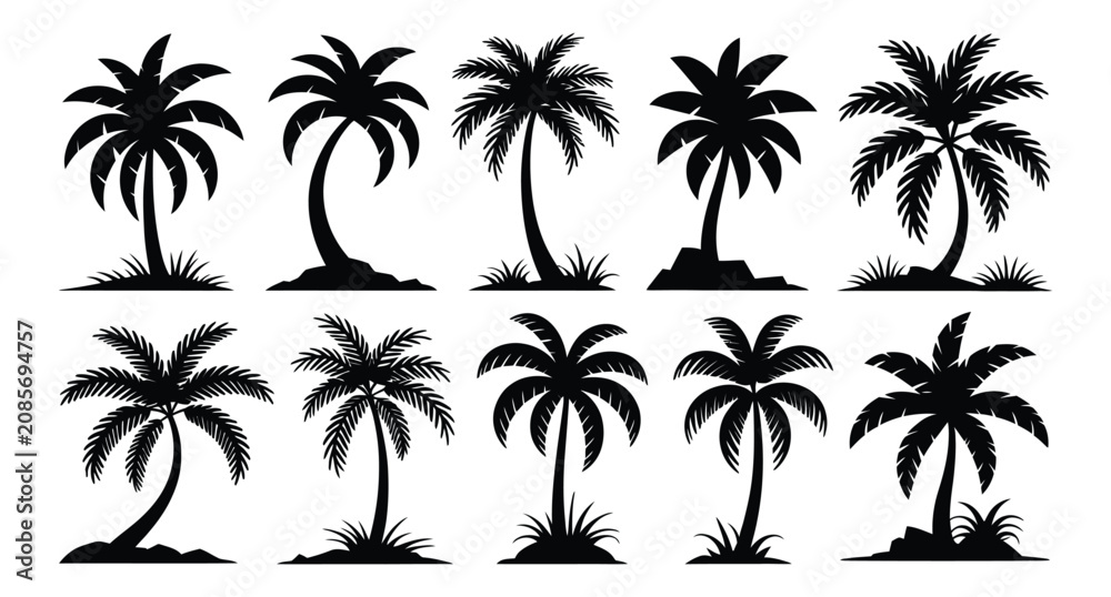 Fototapeta premium Collection of black silhouette palm trees isolated on transparent background for tropical design elements
