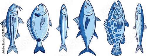 Obraz na płótnie Blue Ocean Fish Species Set with Tuna, Sardine, Grouper, and Mackerel Sea Life i