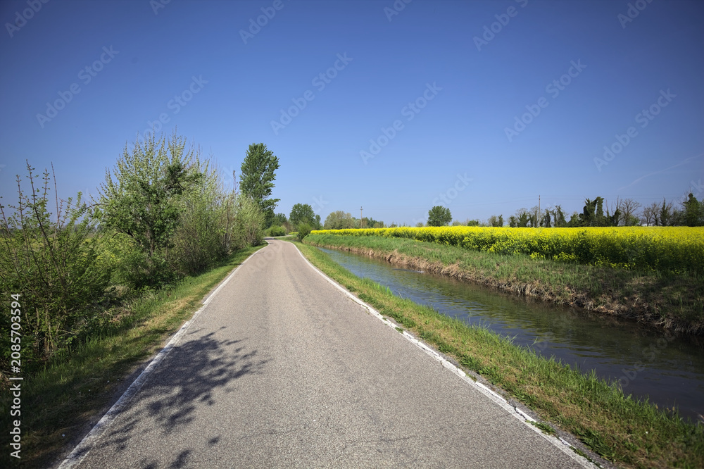 Naklejka premium Narrow road in the countryside