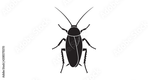 Foto Cockroach Insect Silhouette On White Background bug