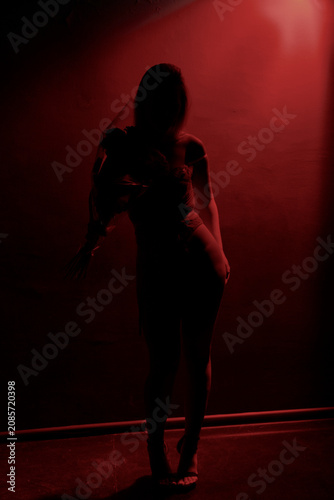 Full length silhouette portrait of a slender young woman holding a bouquet of roses against a black background with dramatic red illumination