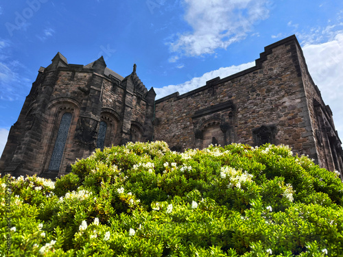 The beautiful and historic st. Margaret's Chapel with green leaves and white flowers of Pittosporum tobira in Edinburgh Castle, UK