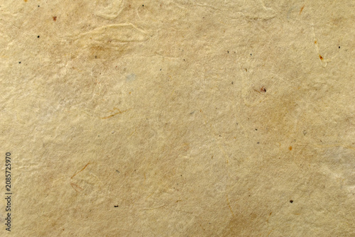Fotografie The texture of antique parchment paper with visible fibers
