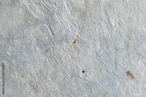 Fotografía The texture of antique parchment paper with visible fibers