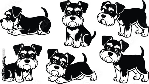 Bild auf Leinwand Cute cartoon miniature schnauzer puppy character set with different playful pose