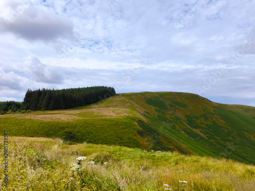 The beautiful green hills and deep depression at Devil's Beef Tub,  with pine forest and white sky, Dumfries and Galloway, Scotland