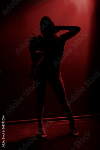 Full length silhouette portrait of a slender young woman holding a bouquet of roses against a black background with dramatic red illumination