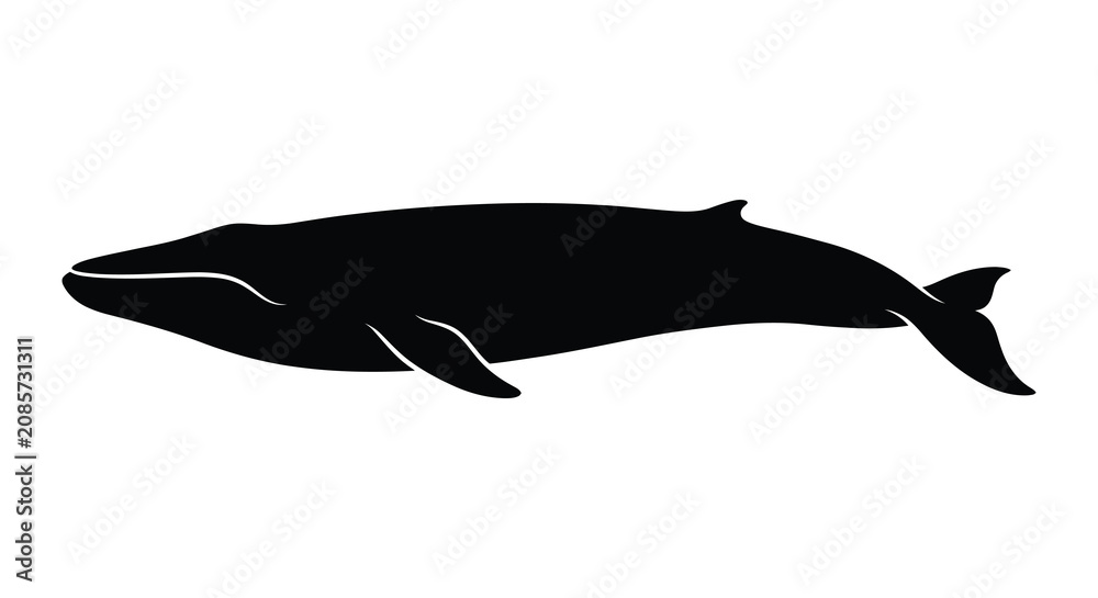 Obraz premium Whale Silhouette Against A White Background Minimalist Marine Animal Silhouette