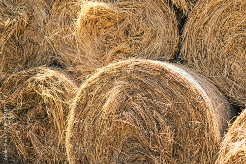 Фотография Stack of round hay bales on a farm field