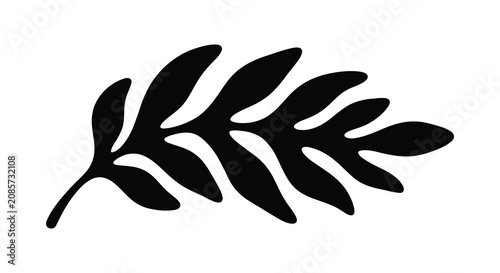 Obraz na plátně Fern frond silhouette against a white background