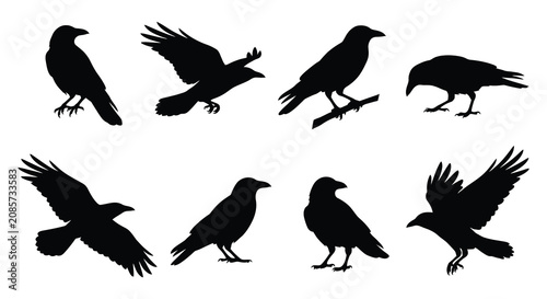 Schilderij op canvas Collection Of Raven Silhouettes In Various Poses Black Silhouette