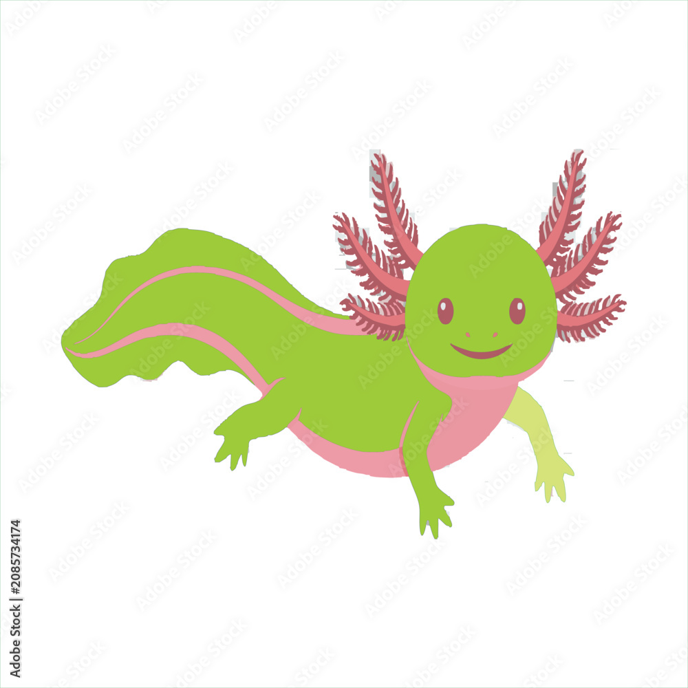 Obraz premium Adorable pink and green axolotl character vector illustration featuring simple flat art style isolated on white background perfect for kids design projects or educational content.