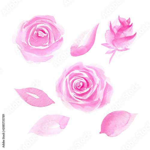 Collection of pink roses and petals watercolor isolated illustration set. Hand drawn floral clipart in coquette aesthetic for romantic soft botanical design. Minimalist sketch in monochrome colors.