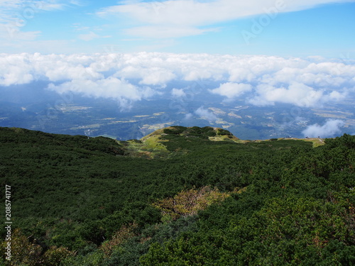 Cuadro en lienzo OLYMPUS DIGITAL CAMERA夏の大山