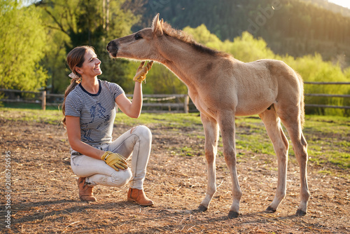 Young woman crouching next to cute small horse foal, afternoon sunlight lit bushes and trees in background