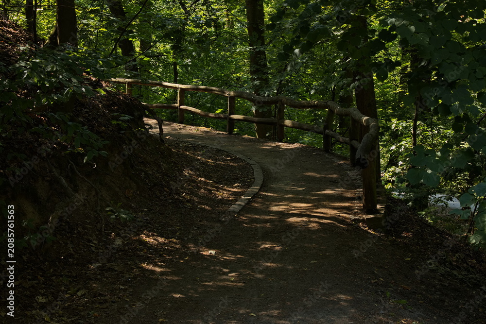 Naklejka premium Footpath in public park Cibulka in Prague,Czech Republic,Europe 