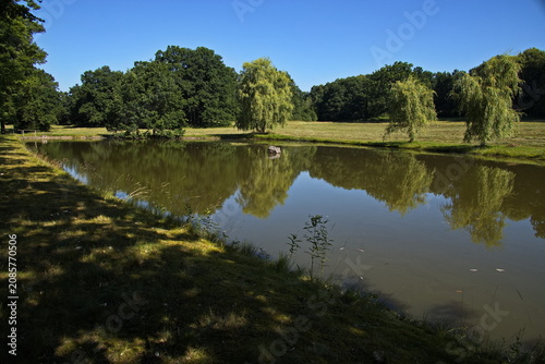 Pond 