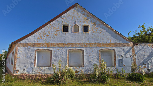 Rural house with yucca palms in village Lutova at Chlum u Trebone, South Bohemian Region, Czech Republic, Europe
