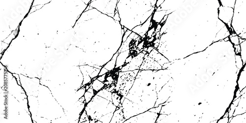 Fotografie Abstract black and white marble stone texture with natural cracks and veins patt